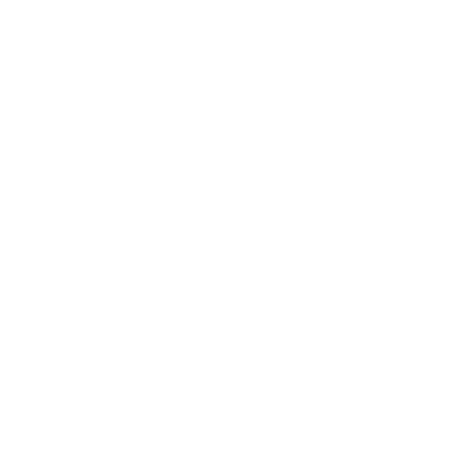 VISA Secure